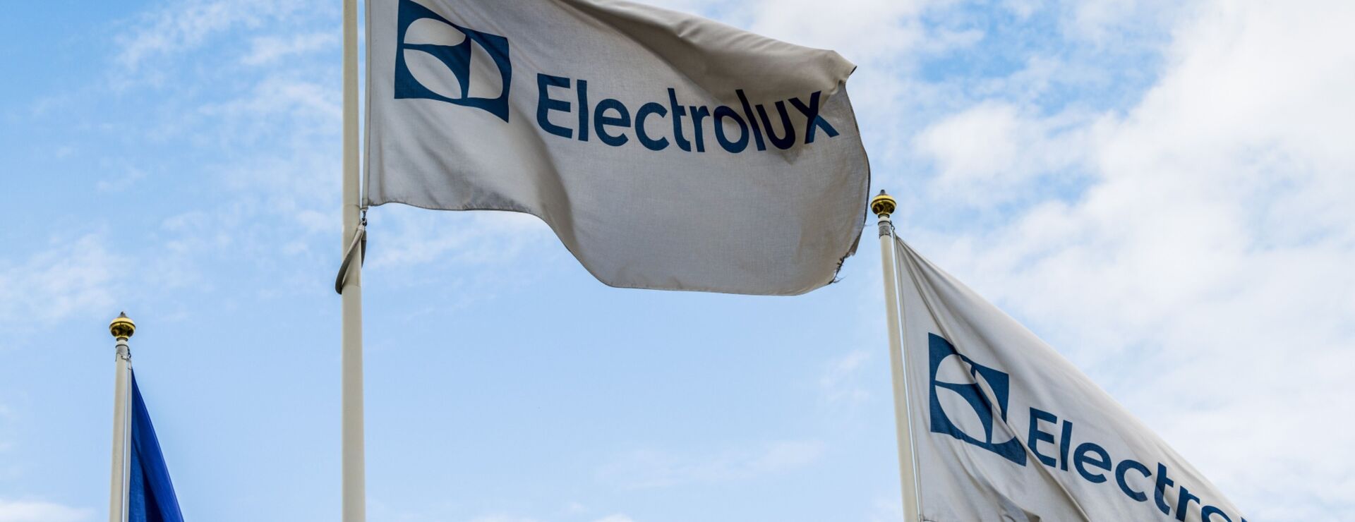 Electrolux Lawyer Says Diversity Push Cost Him Top Job (Correct)